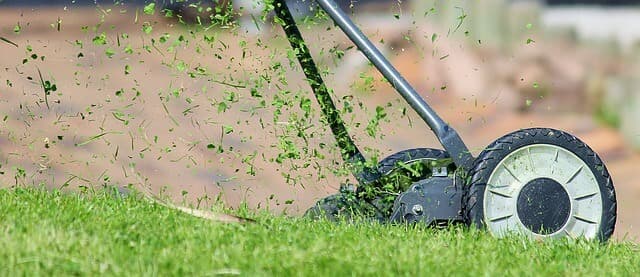 Summer Landscaping Tips | American Arbor Care