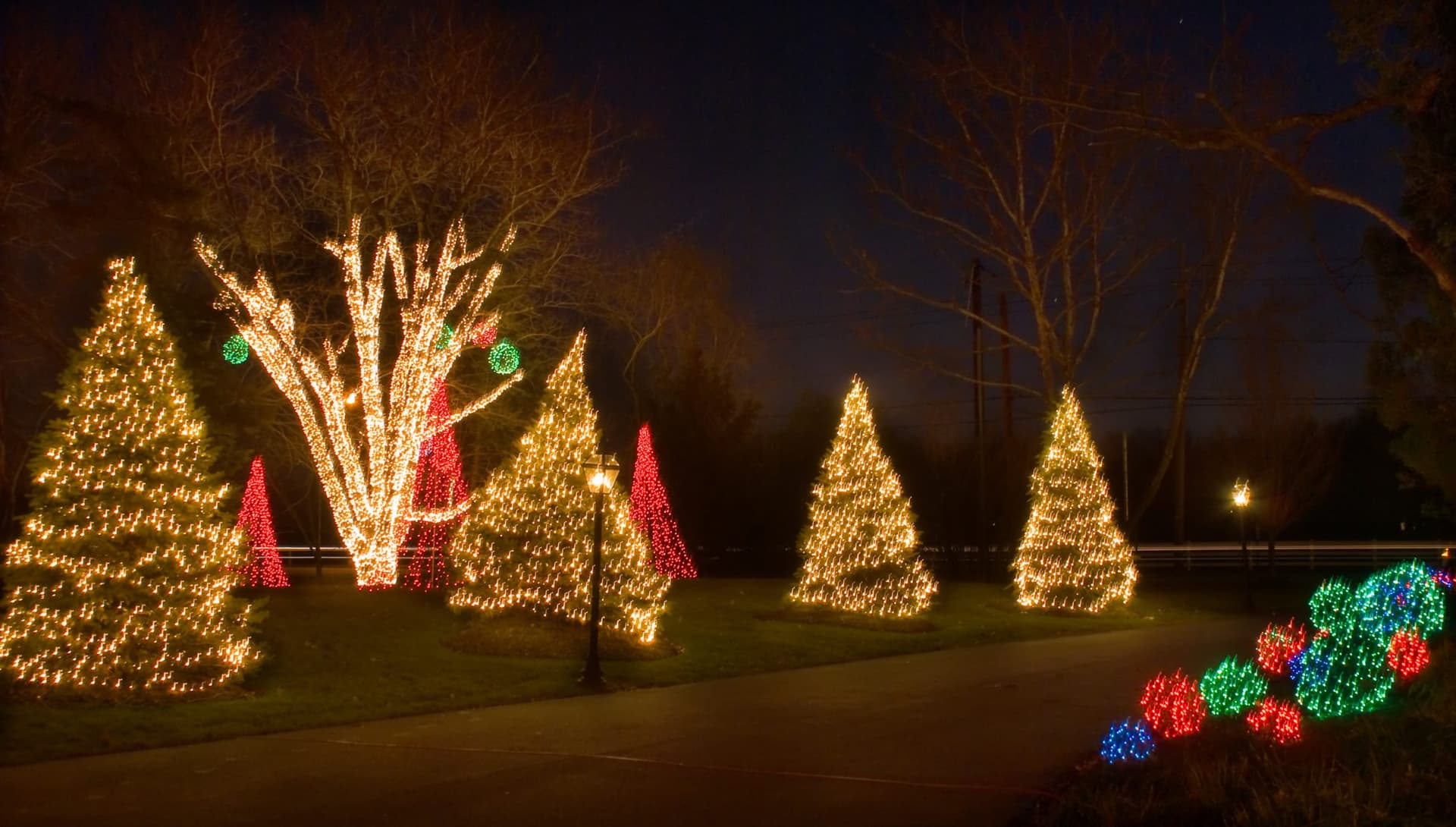 Trees wrapped in red and white holiday lights at night