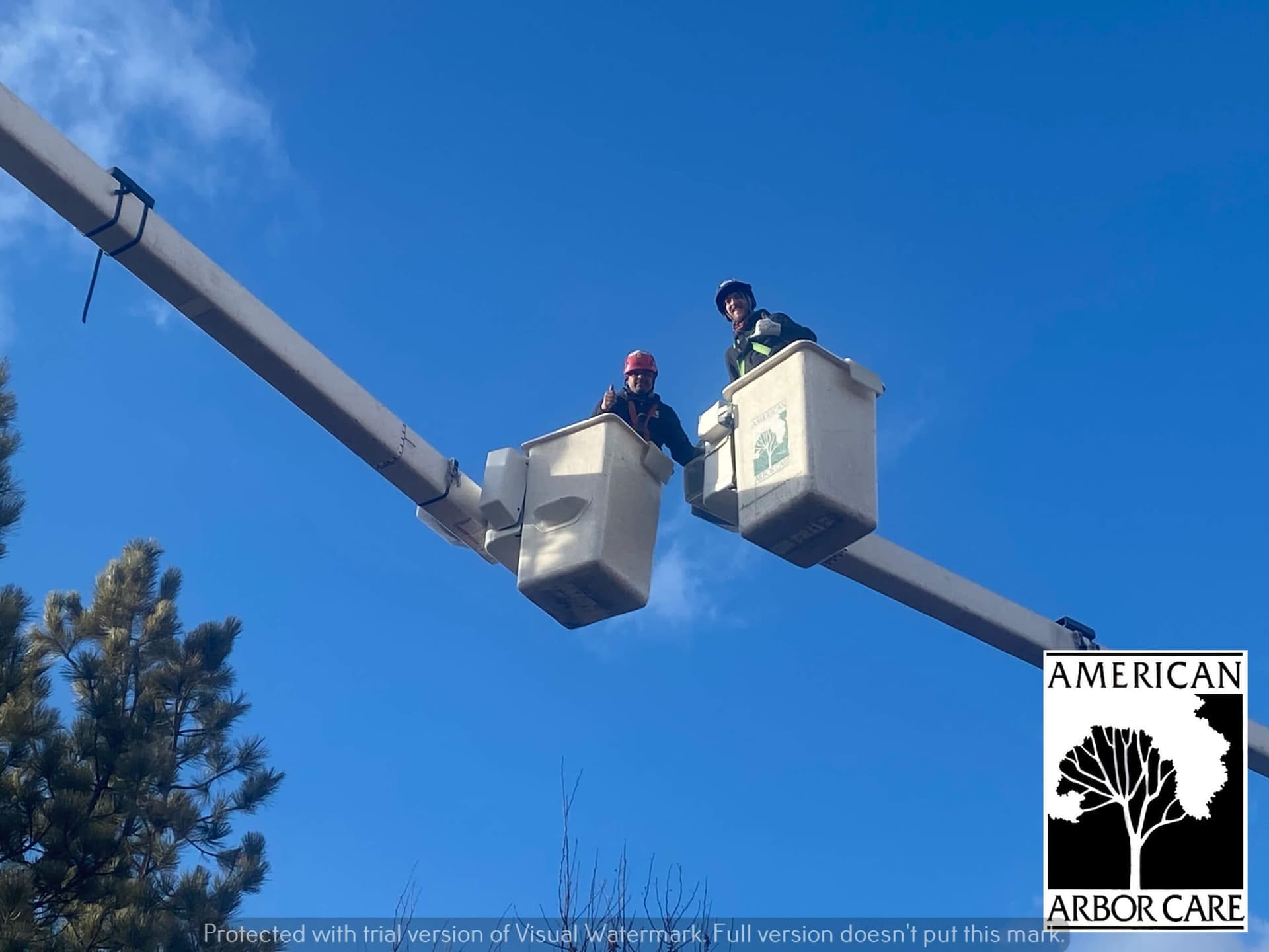 Two workers in raised aerial lift buckets
