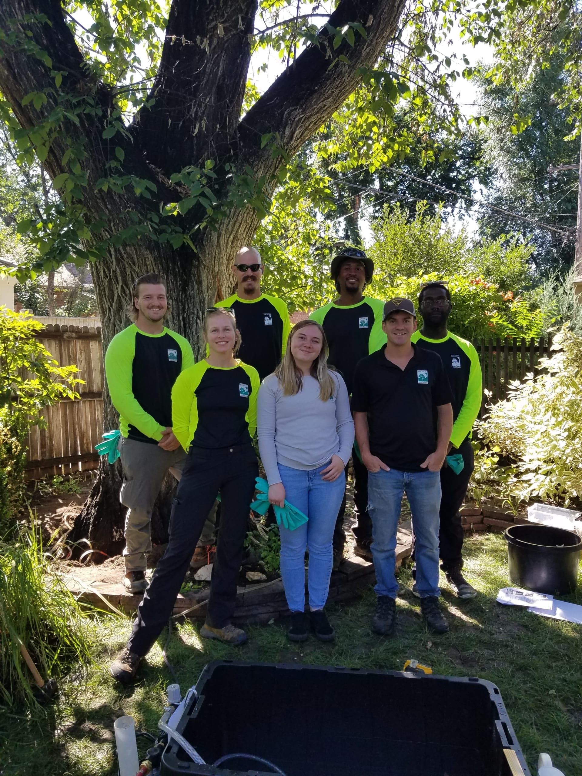 Tree care team gathered beside a large tree and treatment equipment