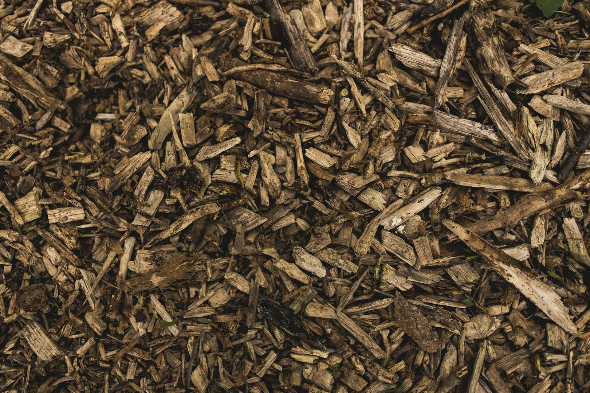 Proper Mulching in Denver