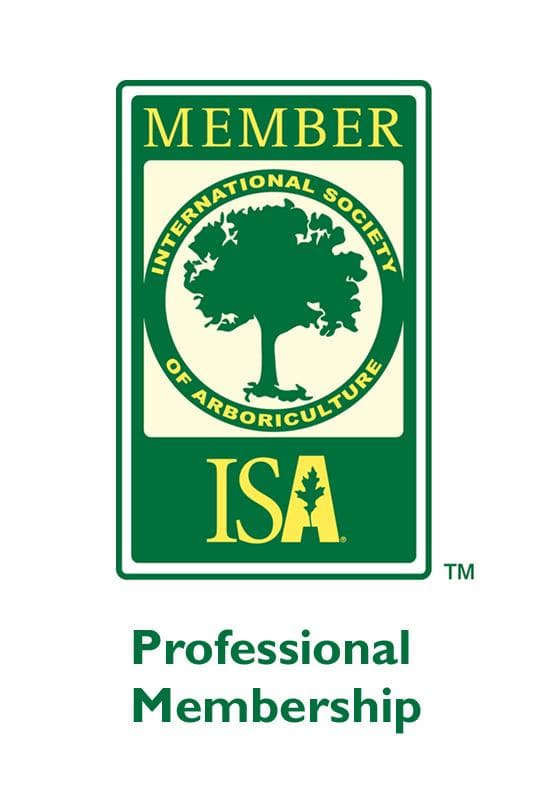 ISA Professional Membership certificate