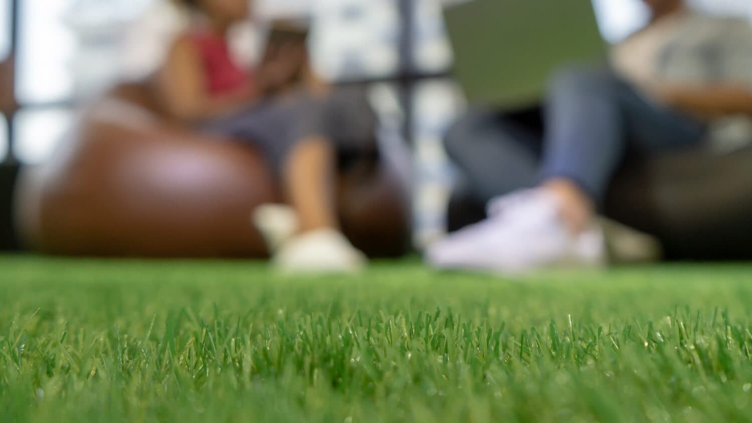 Close view of grass with people relaxing beyond it