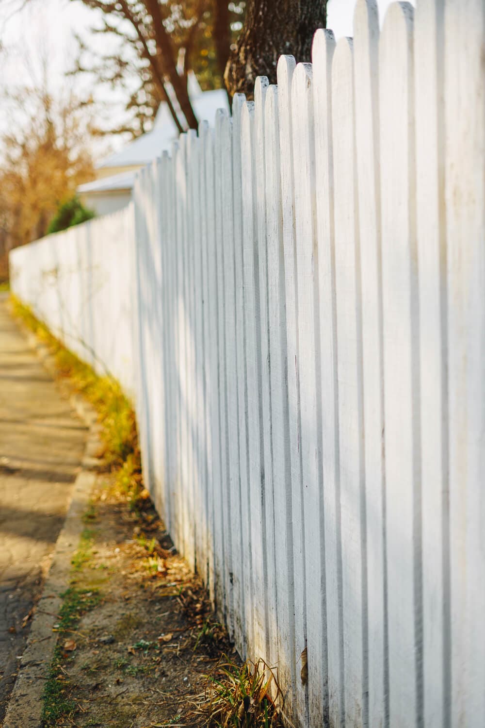 White fence beside fallen autumn leaves