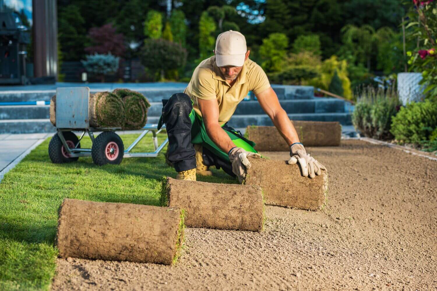Worker laying rolls of sod over prepared soil
