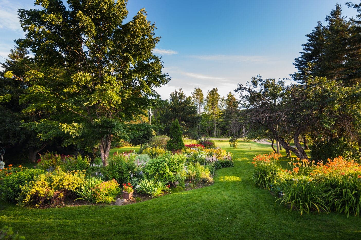 Garden beds with flowering plants, shrubs and mature trees