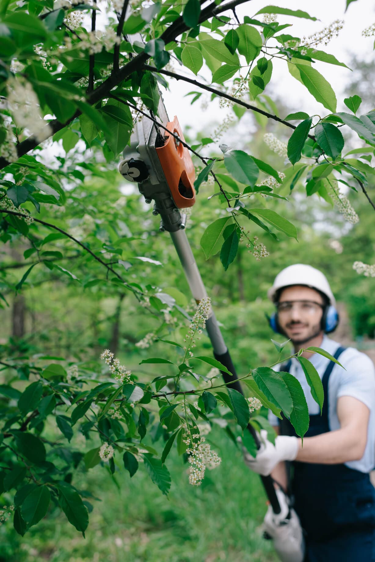 Worker wearing a helmet and holding a powered pole saw beneath a tree