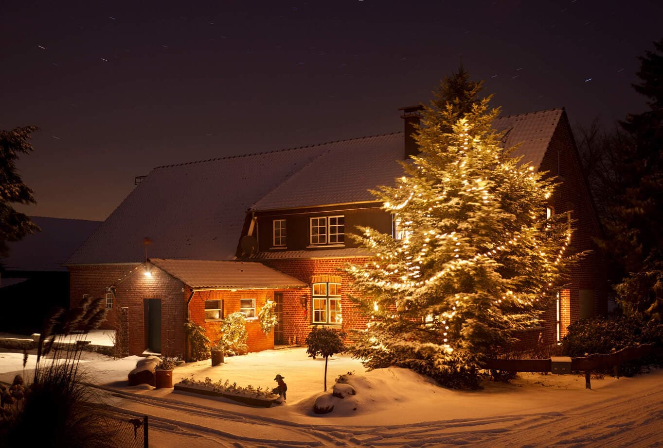 Evergreen tree wrapped in warm lights beside a snow-covered home